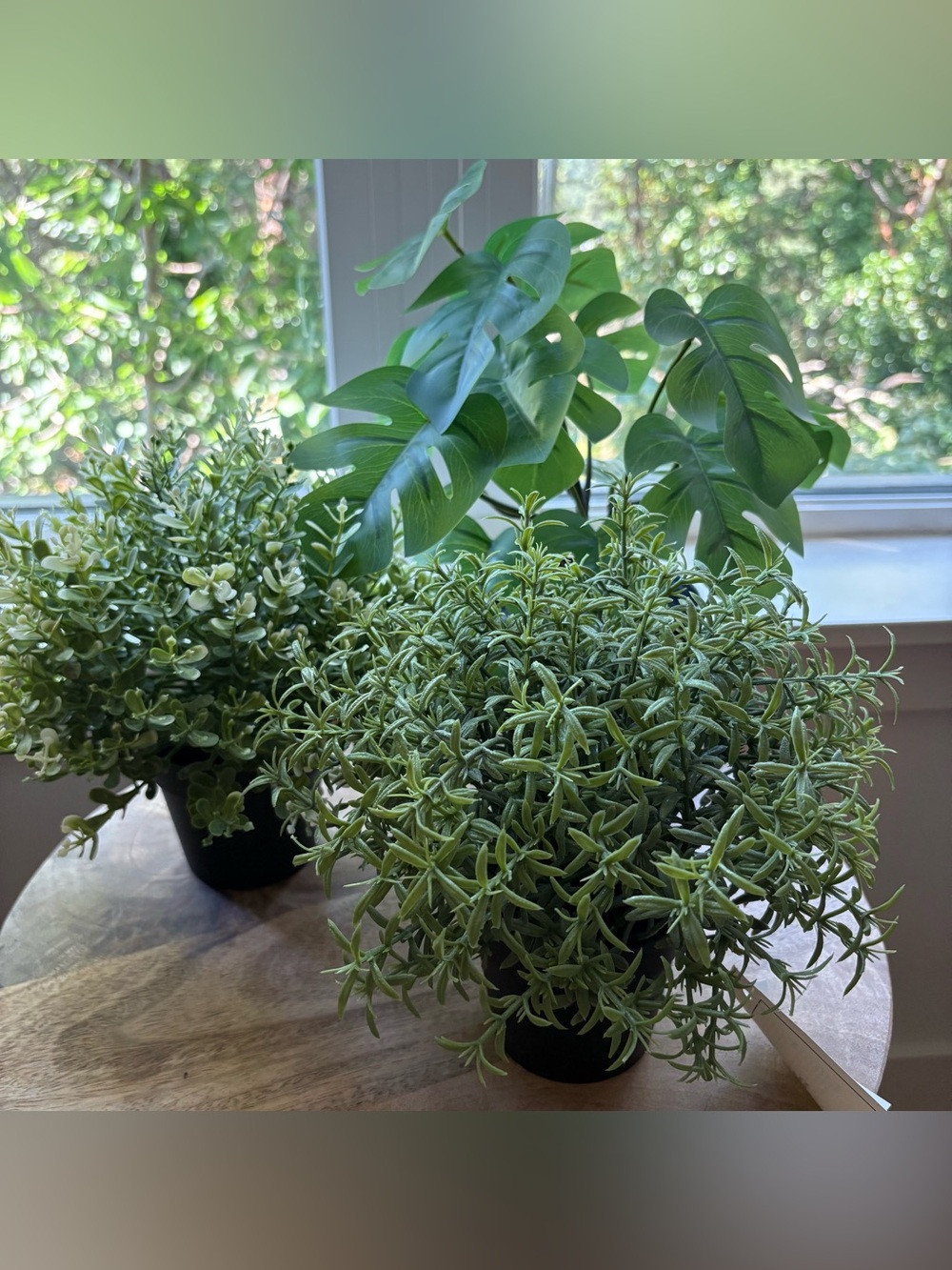 3 IKEA Artificial Plants Bundle FEJKA